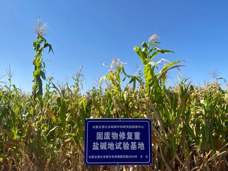 微信图片_20241023093109(1).jpg 微信图片_20241023093109(1).jpg