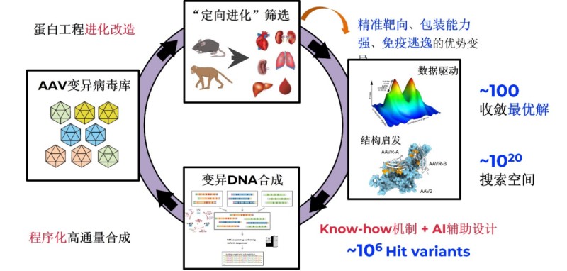 图片4.jpg 图片4.jpg