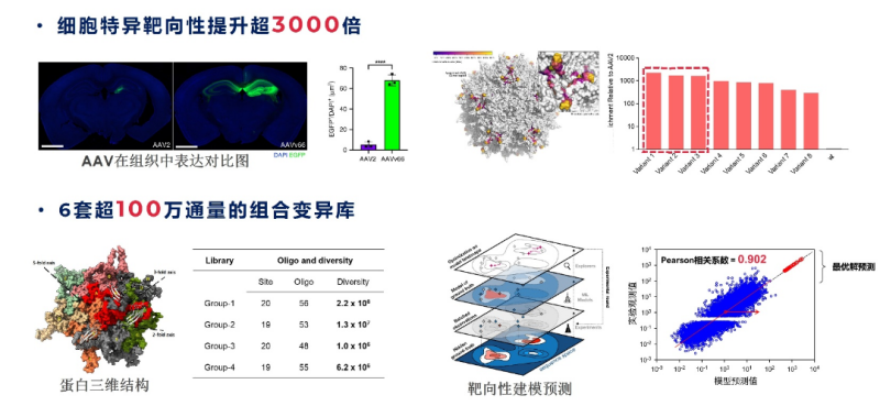 图片5.png 图片5.png